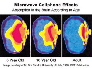 microwave cellphone effects